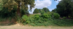 Hinckley Castle